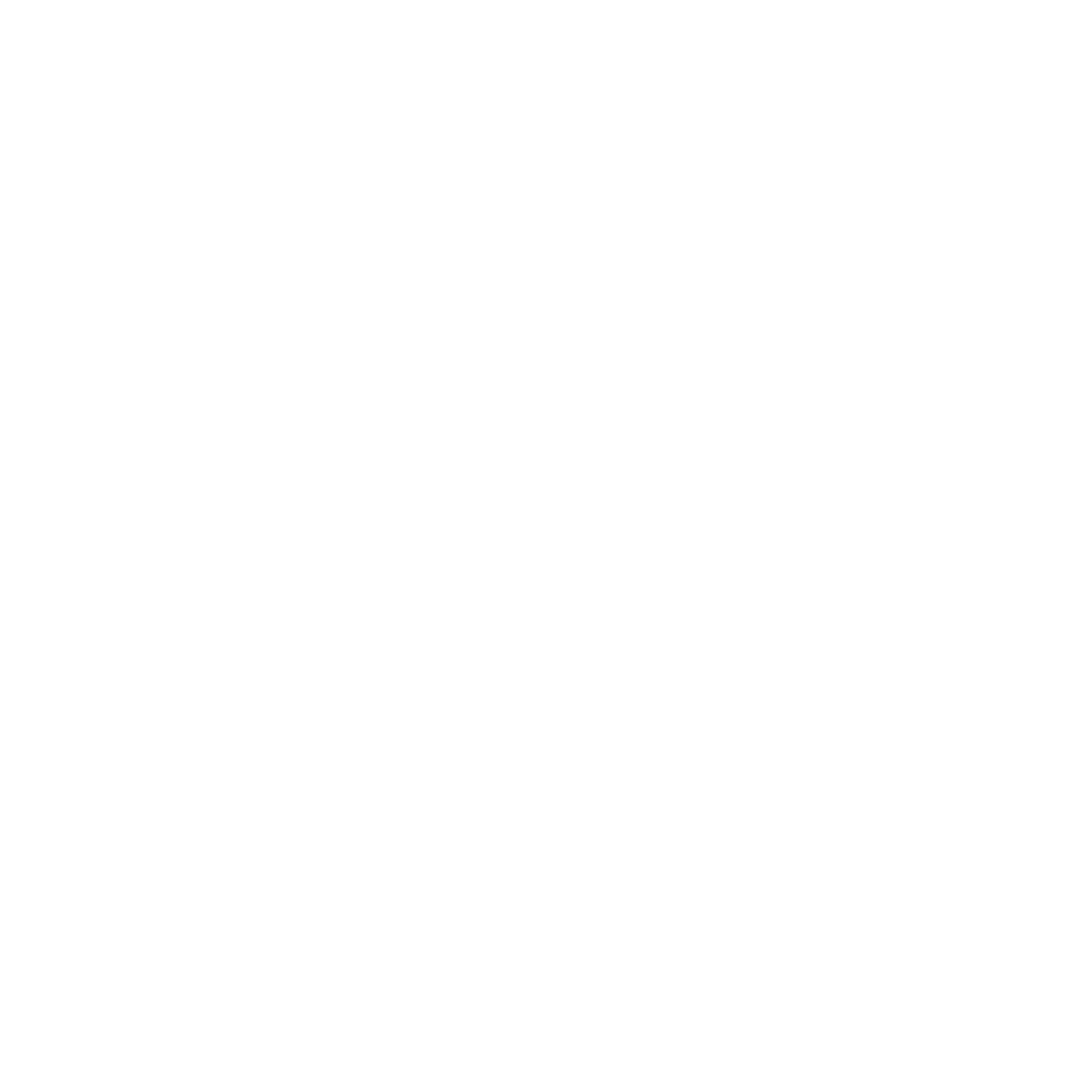 boats wireframe